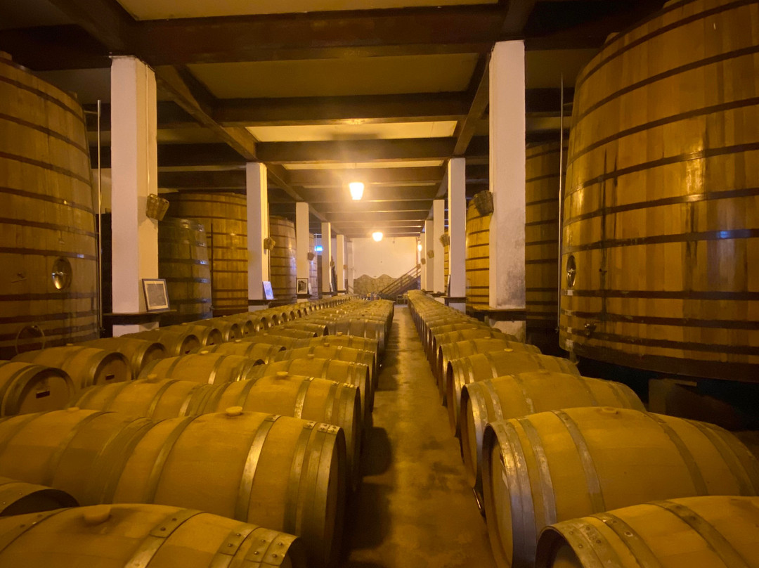 Adega de Favaios-Favaios必去景点