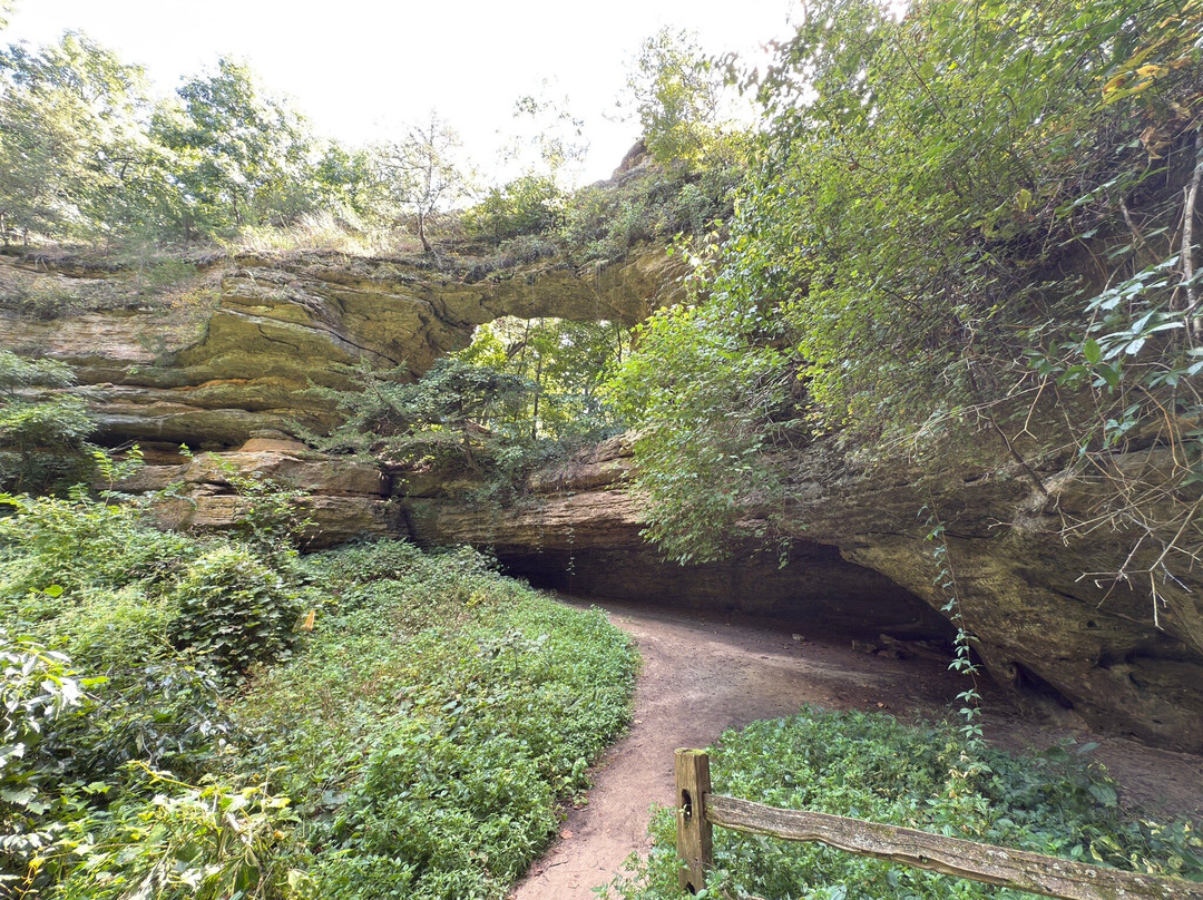 Natural Bridge State Park-Leland必去景点