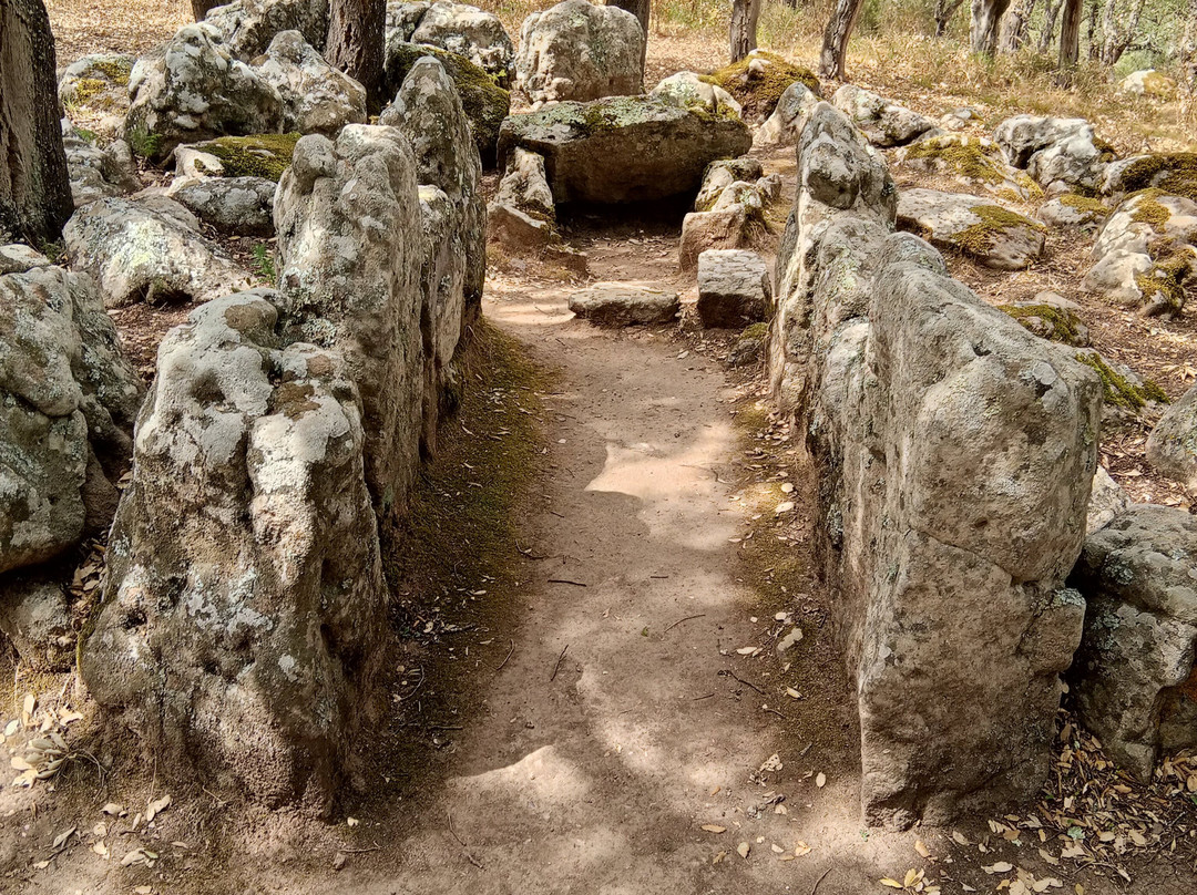 Necropolis of Pranu Muttedu-Goni必去景点