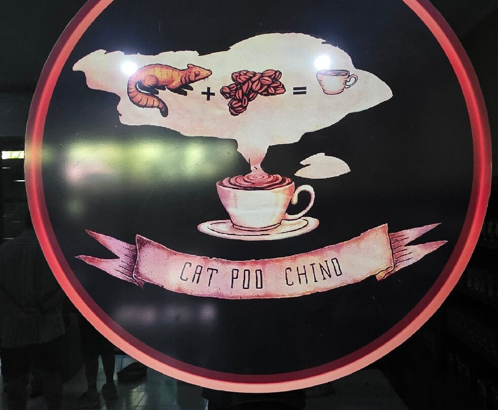 Awesome Bali Driver-水明漾必去景点