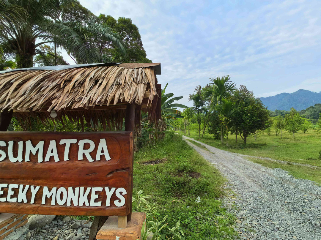 Sumatra Cheeky Monkeys主图