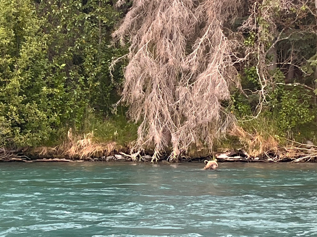 Kenai Riverdog-Cooper Landing必去景点