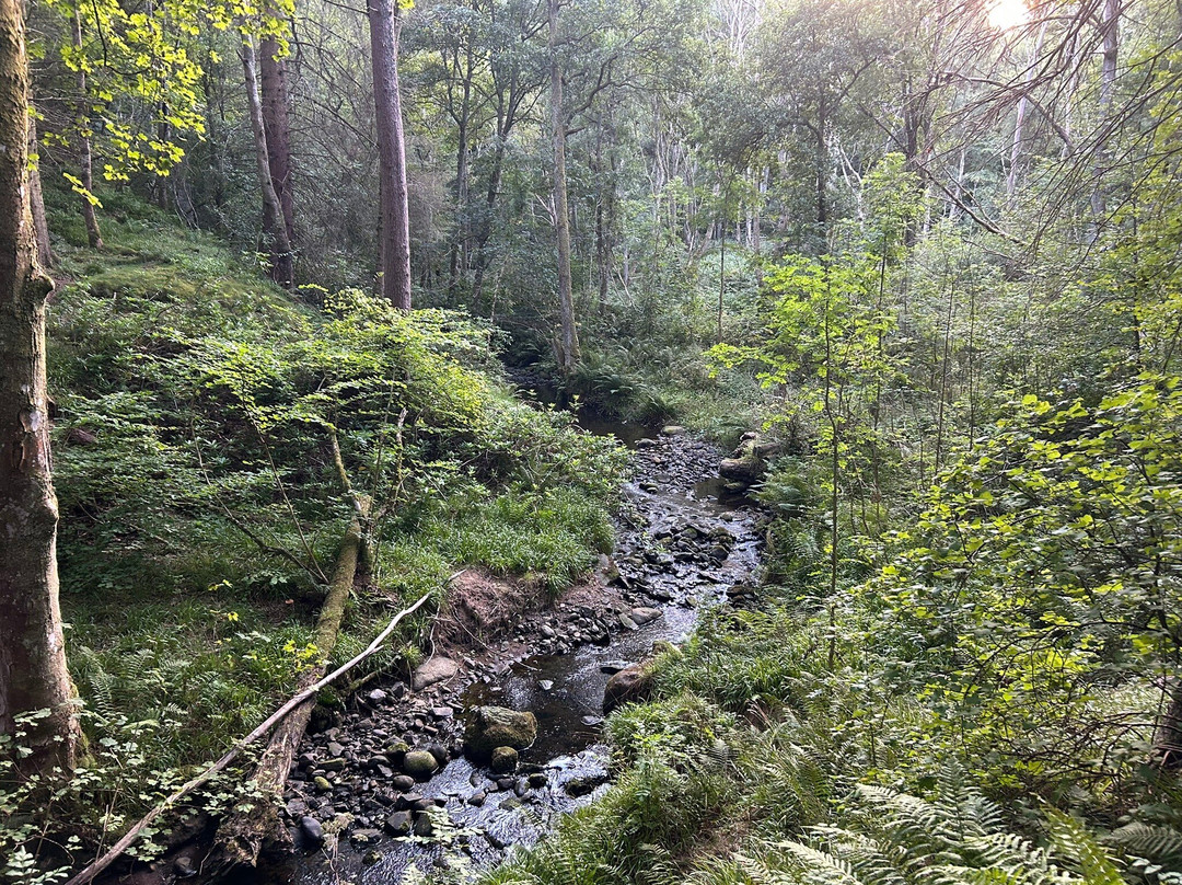 Fairy Glen Falls-Rosemarkie必去景点