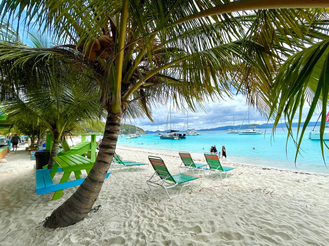 Local Flavor Charters-克鲁兹湾必去景点