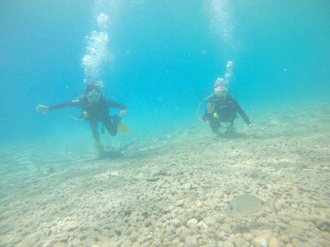 Skopelos Dive Center-斯科派洛斯必去景点