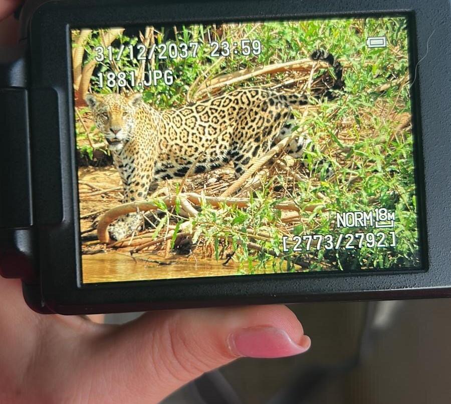 Ecoverde Tours-Cuiaba必去景点