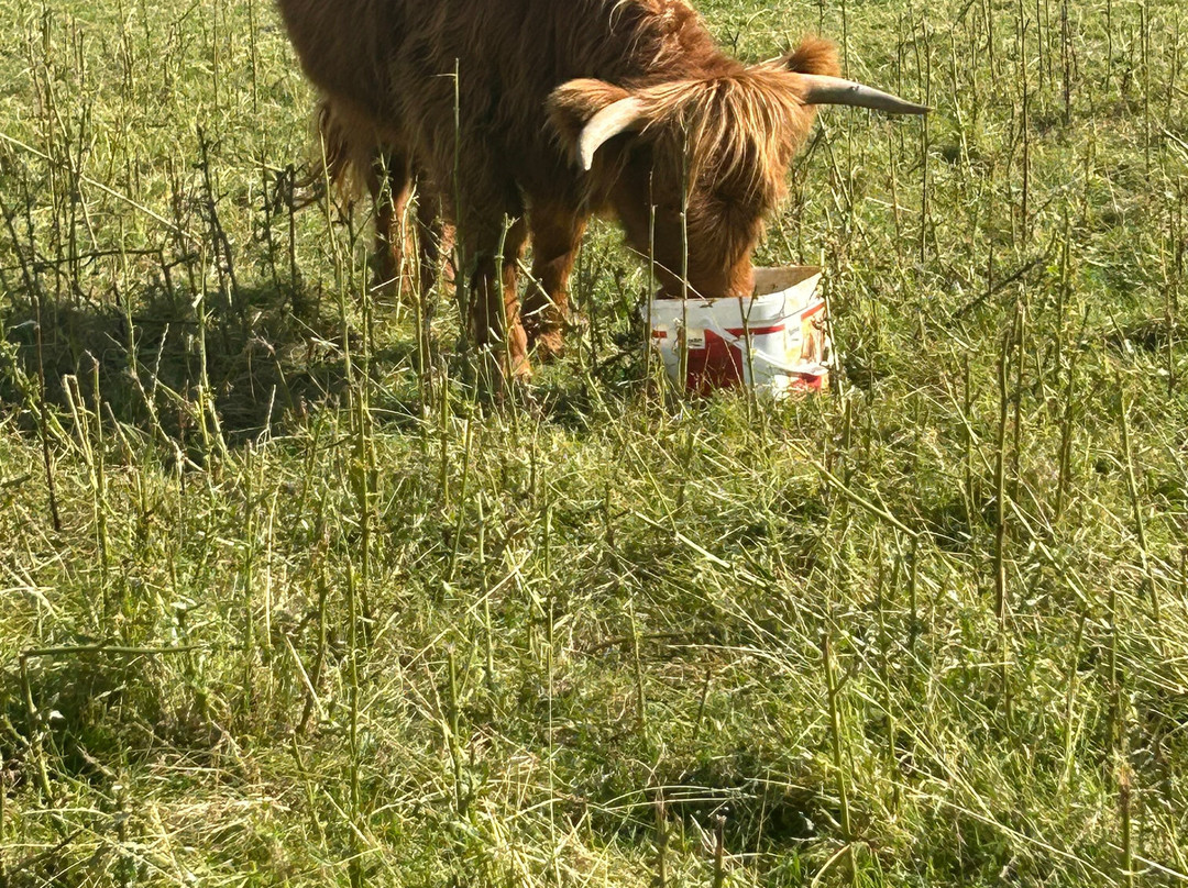 Wynford Farm Playbarn-Kingswells必去景点