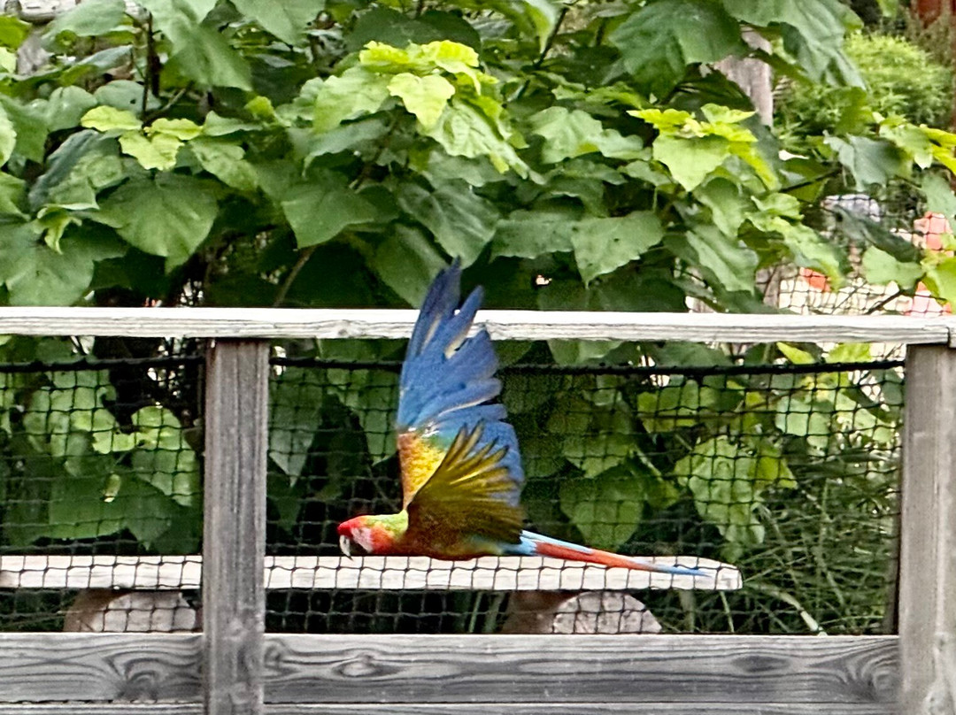 Parrot World-Crecy-la-Chapelle必去景点