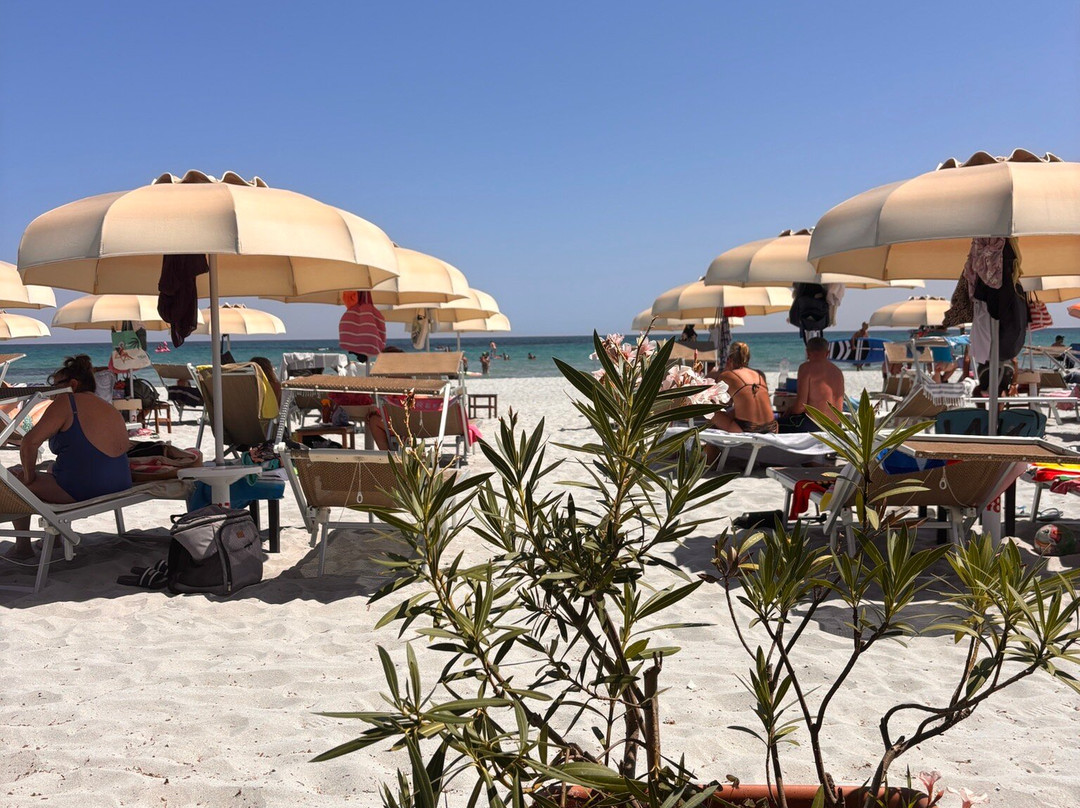Spiaggia di Capo Comino-Siniscola必去景点
