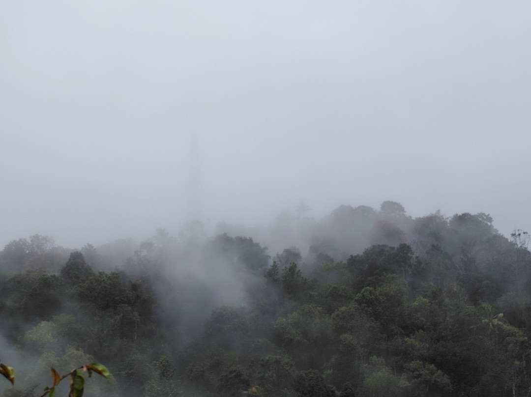 Aveda Mountains And Mist - Munnar主图