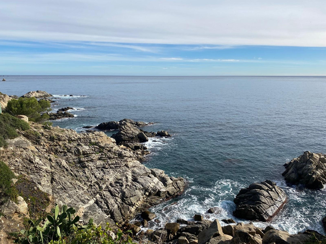 Costa Brava Tours - Private Experience with Driver-Guide-Calella de Palafrugell必去景点