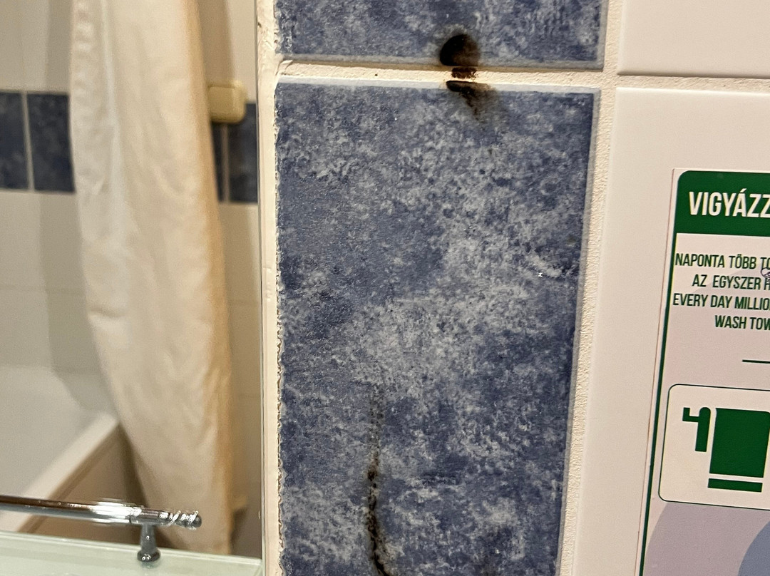 佩内哈兹俱乐部酒店主图