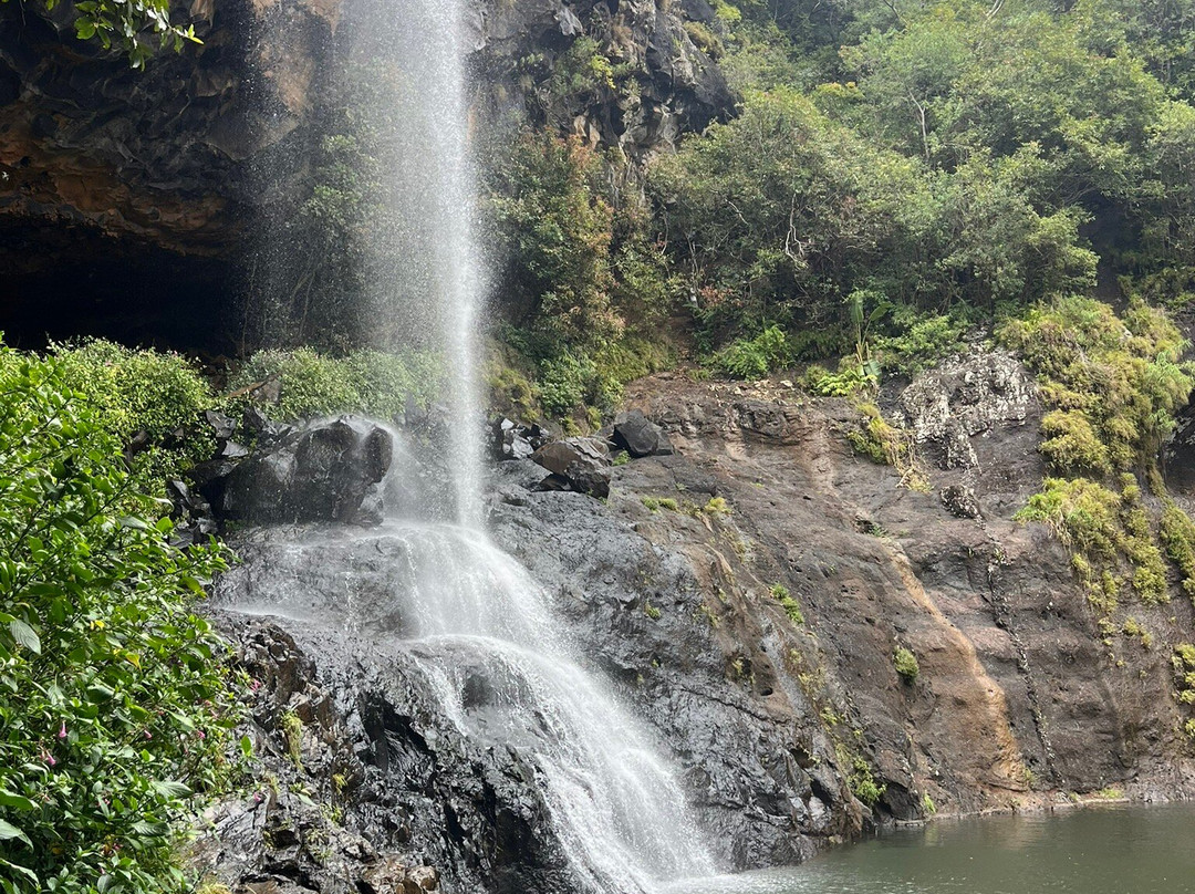 Tamarind Falls-Vacoas-Phoenix必去景点