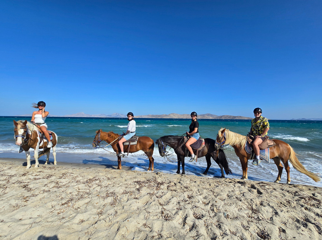 Horse Riding Family Farm-Kos Town必去景点