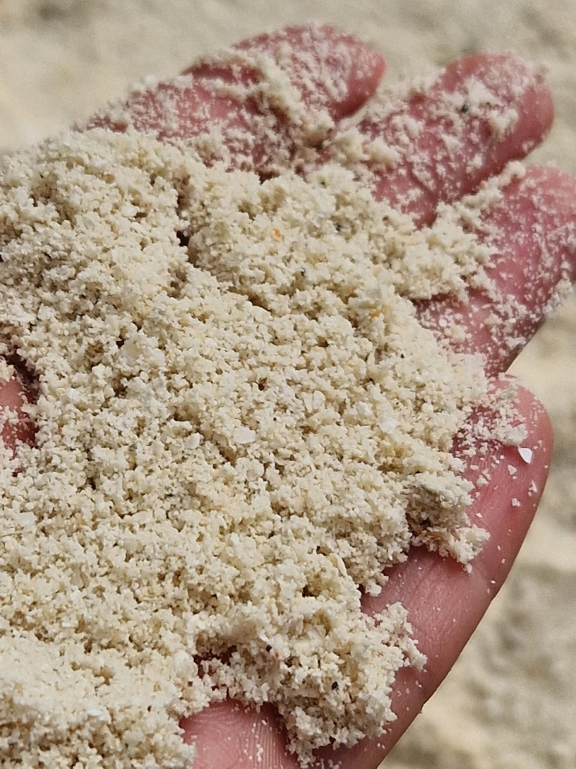 阿达兰瑞娜丽度假村-泳池