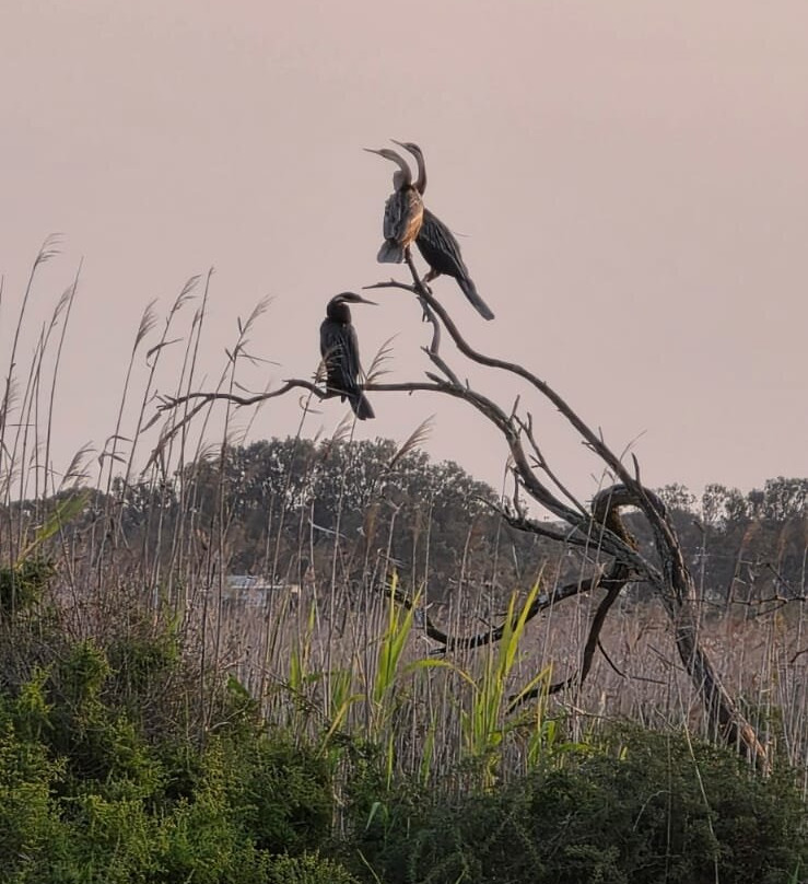 L'Ermitage Quagga Lodge主图