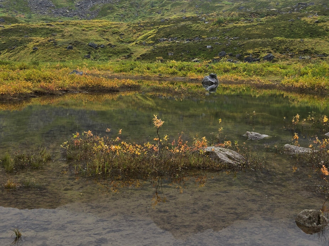 Snowhook Adventure Guides of Alaska-Willow必去景点