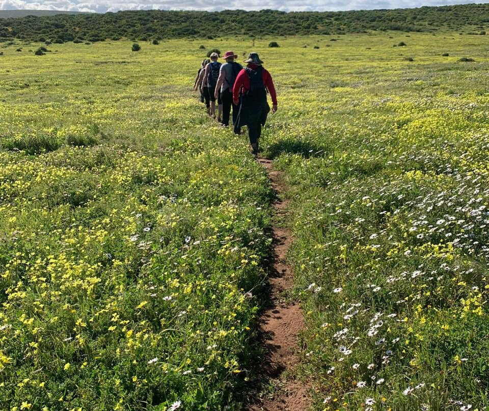 This is Cape Town-开普敦中心区必去景点