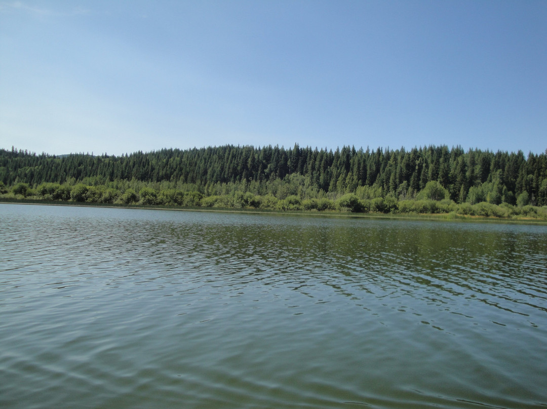 Cariboo Canoe & Kayak Rentals-Williams Lake必去景点
