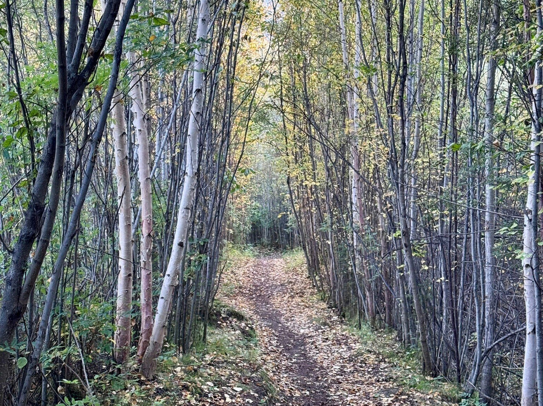 9th Avenue Trail-道森市必去景点