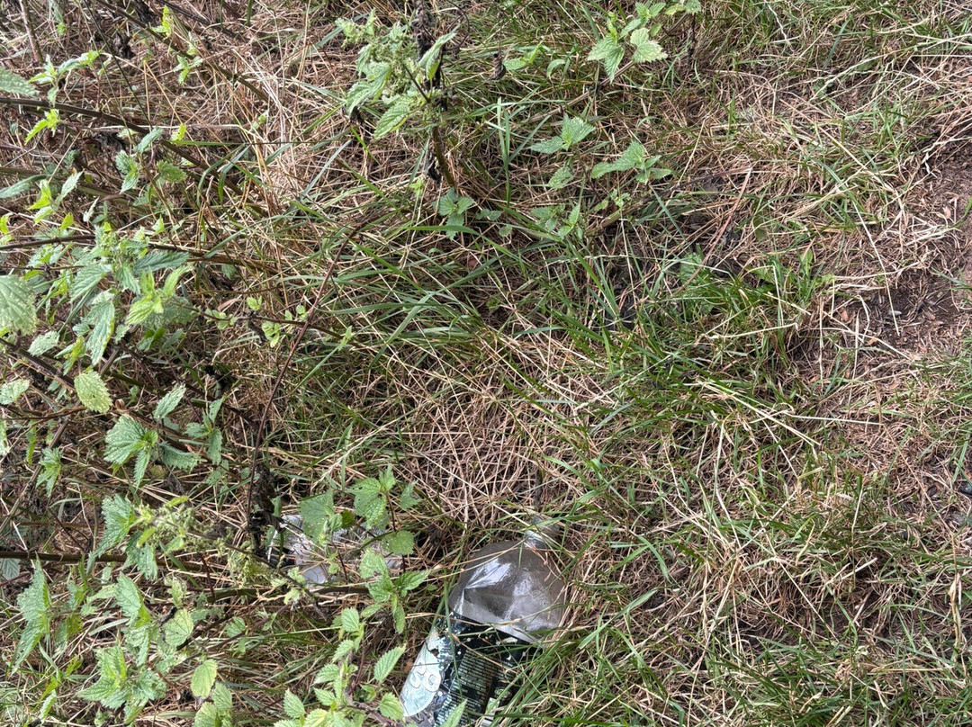 Frodsham Caves-Frodsham必去景点