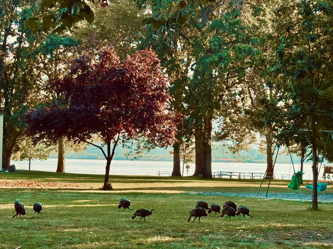 Sacajawea State Park-Pasco必去景点