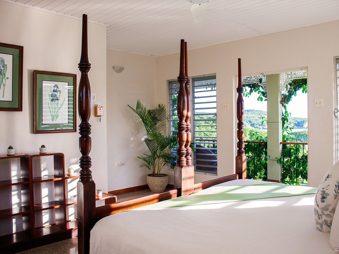 MycoMeditations Psilocybin-Assisted Retreats-瑰宝滩必去景点