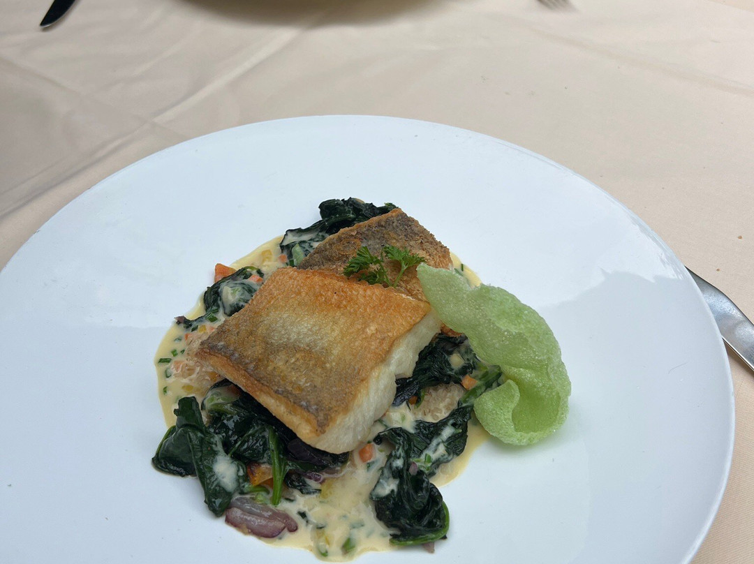 Landhotel & Gasthaus Polster主图