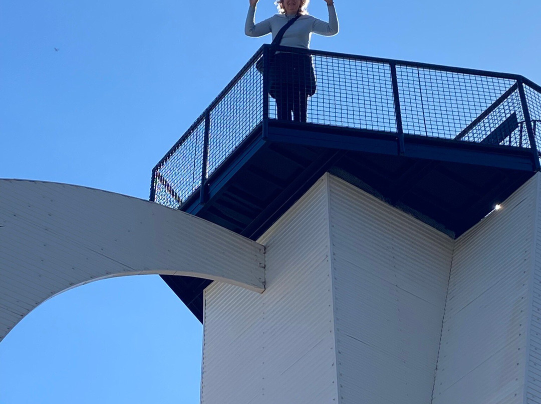 Groovy Grape Adventures-阿德莱德必去景点