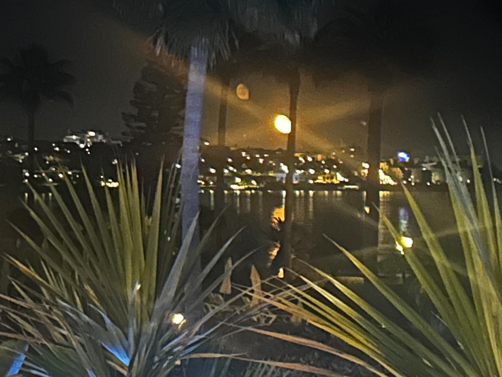 Elba Estepona Gran Hotel & Thalasso Spa-浴室