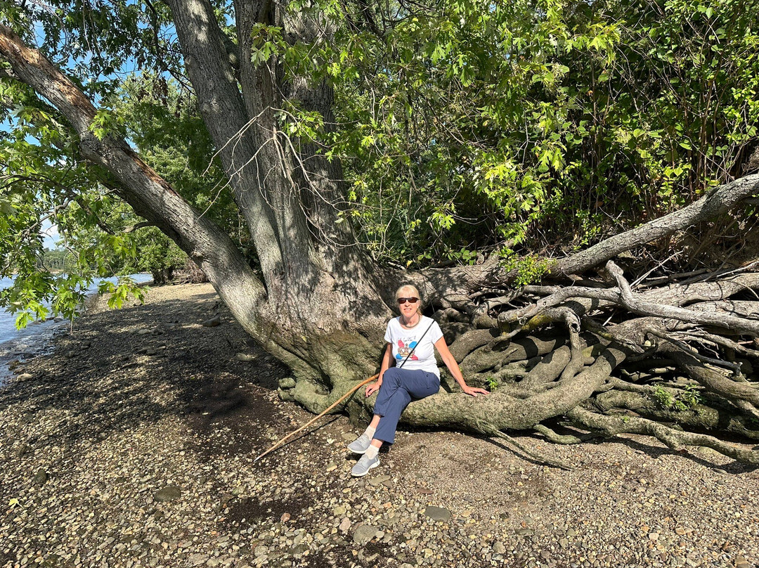 Amico Island Park-Delran必去景点