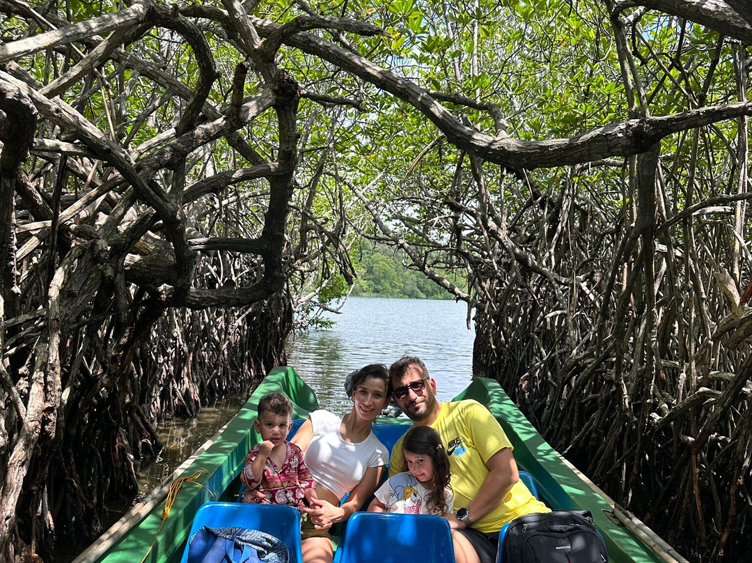 Moon Lanka Tours-希克杜沃必去景点