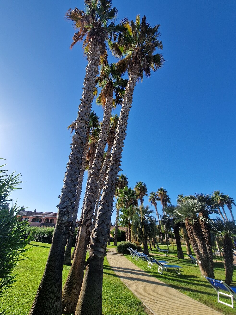 Lantana Resort Hotel & Apartments-官方