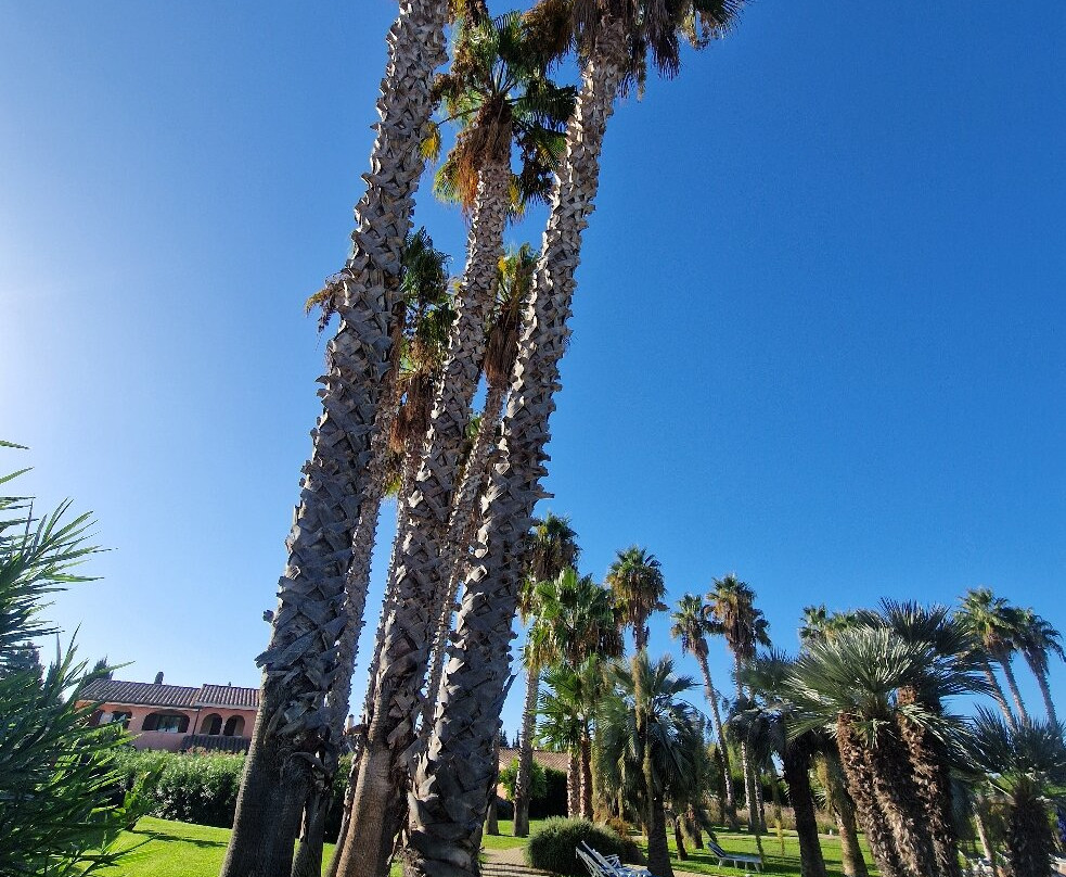 Lantana Resort Hotel & Apartments主图