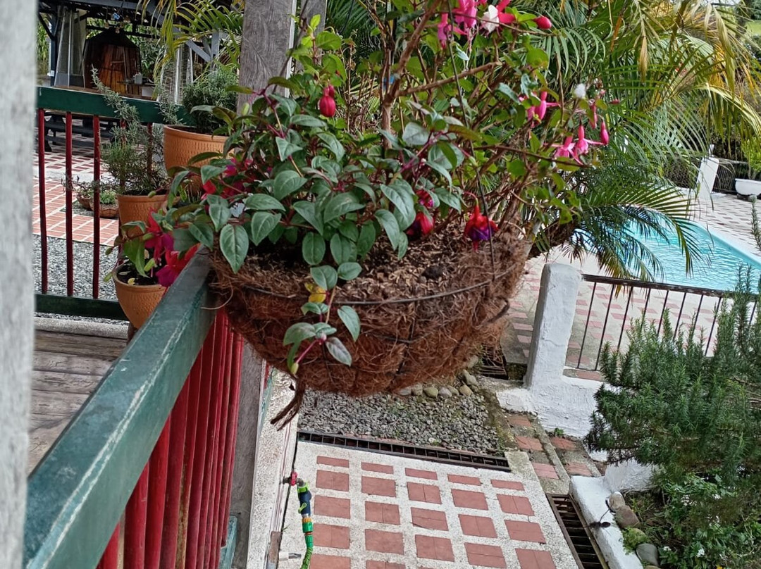 Finca Campestre La Adelita B&B主图