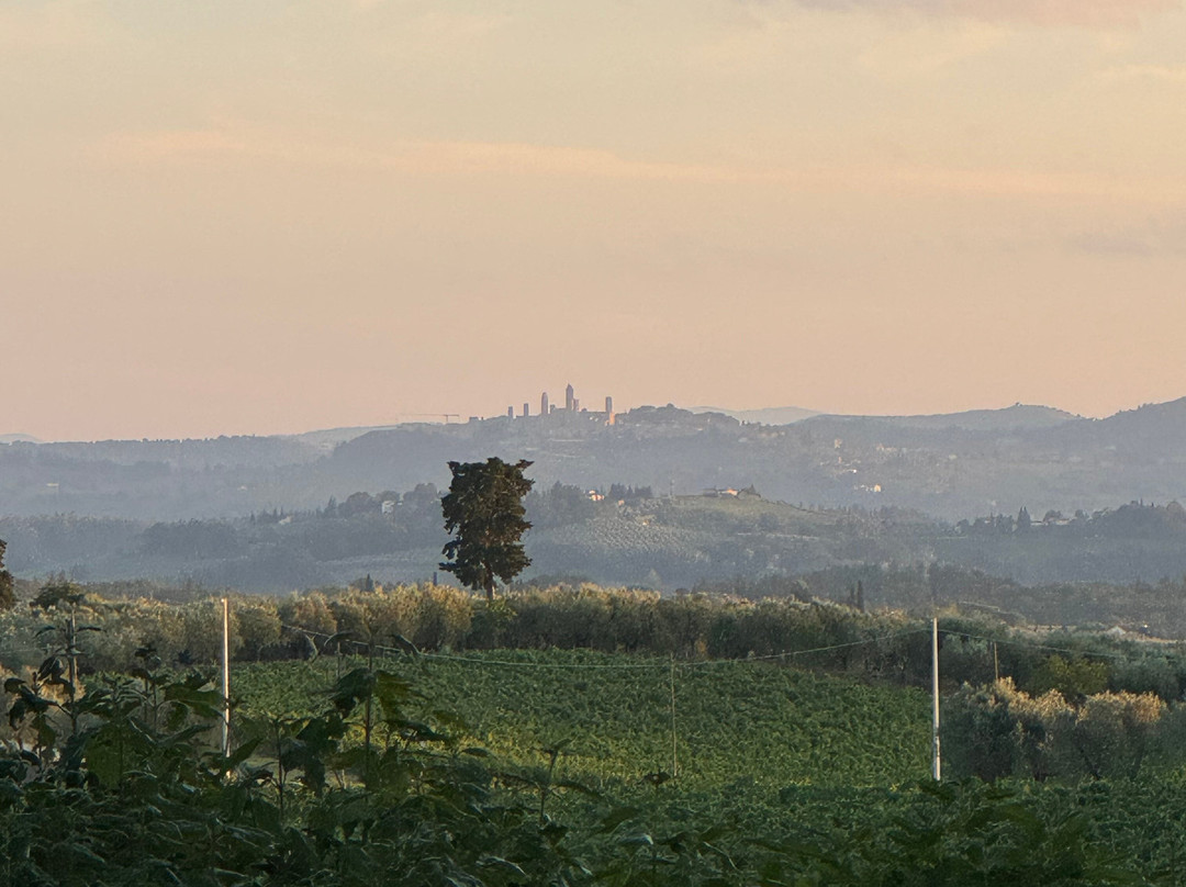A Solatio Organic Farm-切塔尔多必去景点