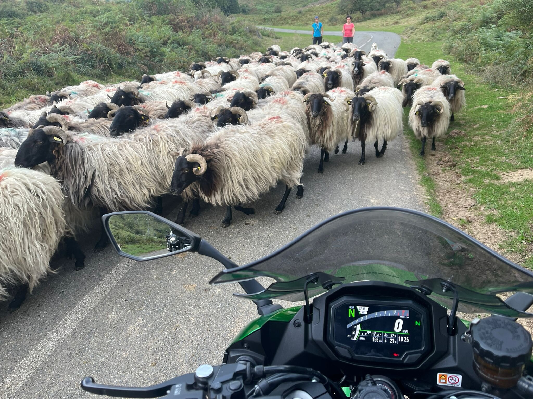 Etche Arguinia Chambres Hotes-官方