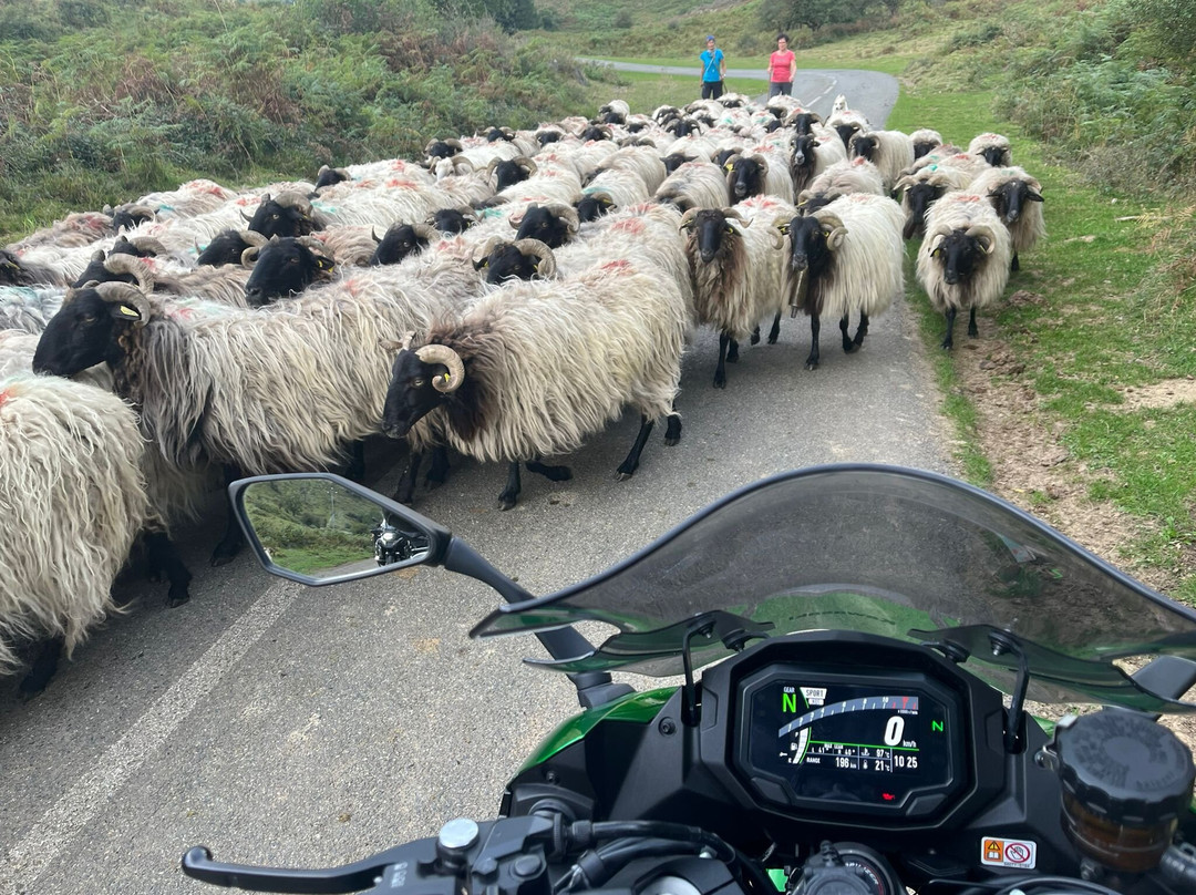 Etche Arguinia Chambres Hotes主图