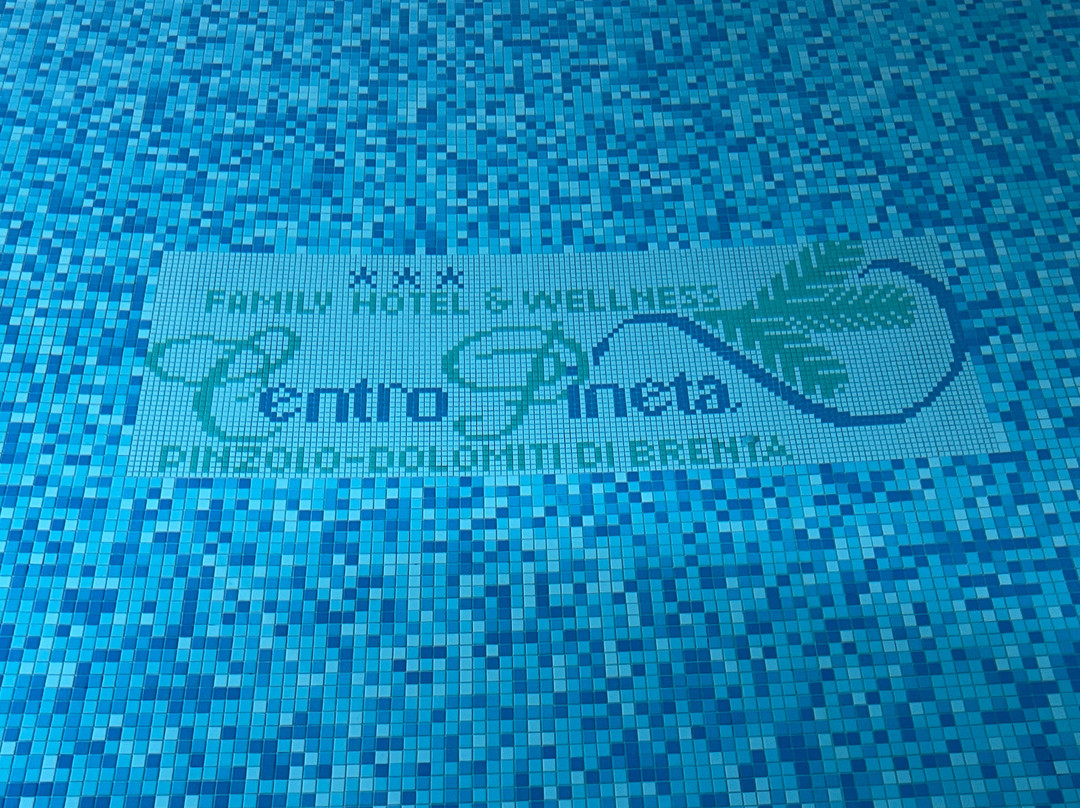 Centro Pineta Family Hotel & Wellness主图