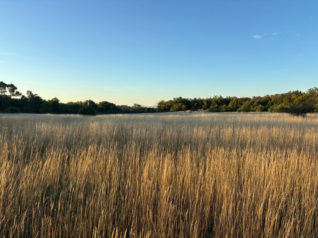 Domaine de la Blaque主图