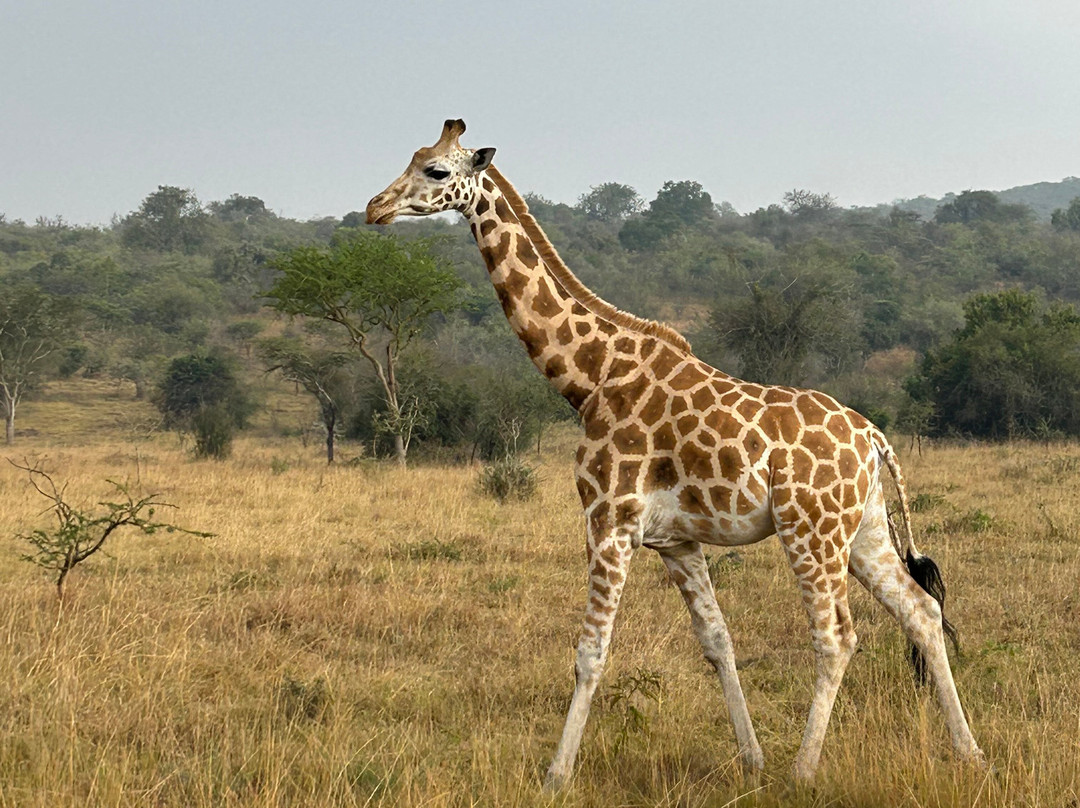 Jinja Bike Tours And Safaris-Buikwe必去景点