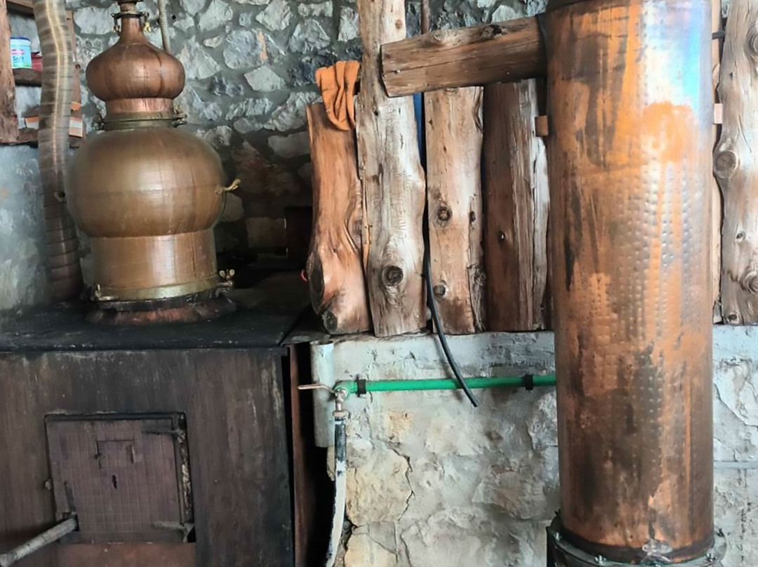 Rakidio-Sellia必去景点