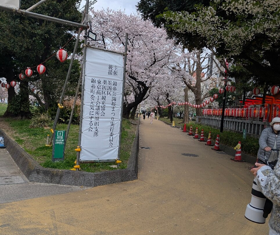 Kinshi Park-墨田区必去景点