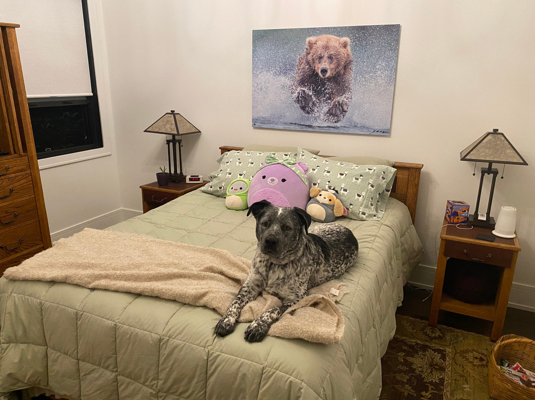 BearHead Photography Gallery-史凯威必去景点