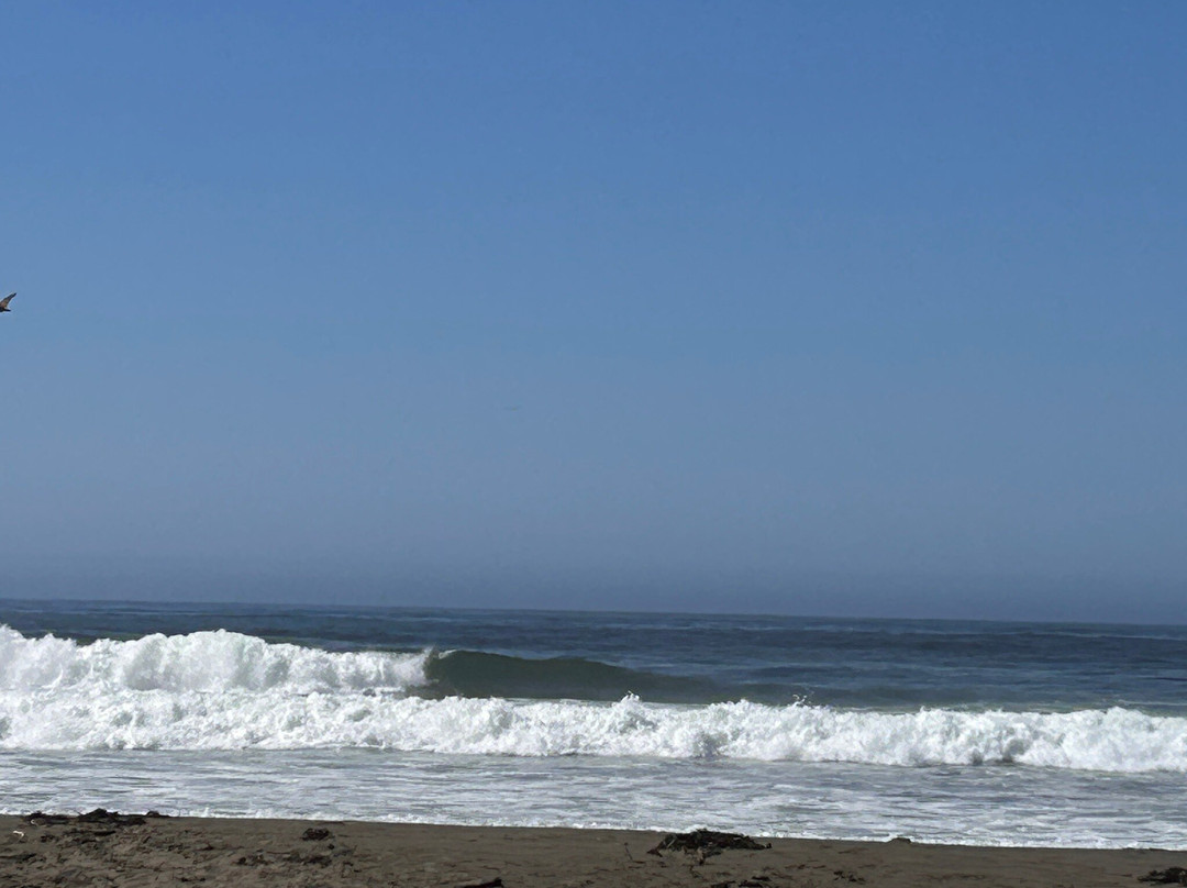 Sonoma Coast State Beach - Salmon Creek-博德加湾必去景点