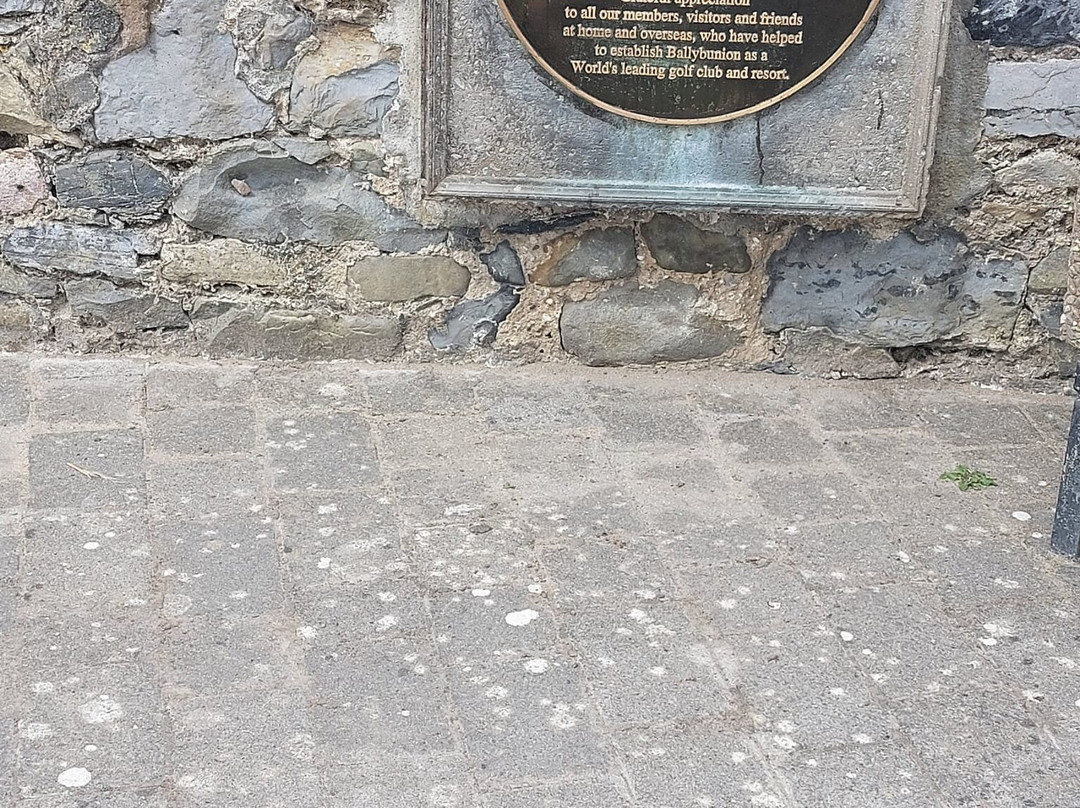 Ireland West Chauffeurs-戈尔韦必去景点