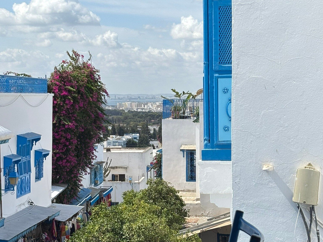 Sidi Bou Said Village-蓝白小镇必去景点