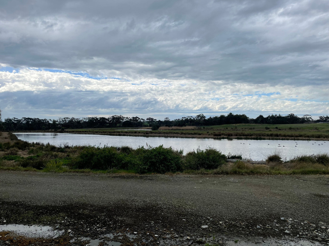Meeniyan Bird Hide-Meeniyan必去景点