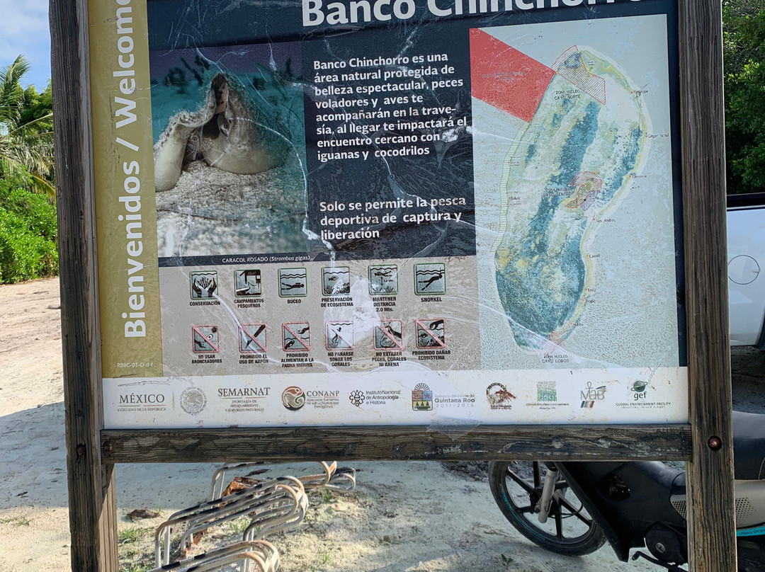 Adventure Tours Yucatan-梅里达必去景点