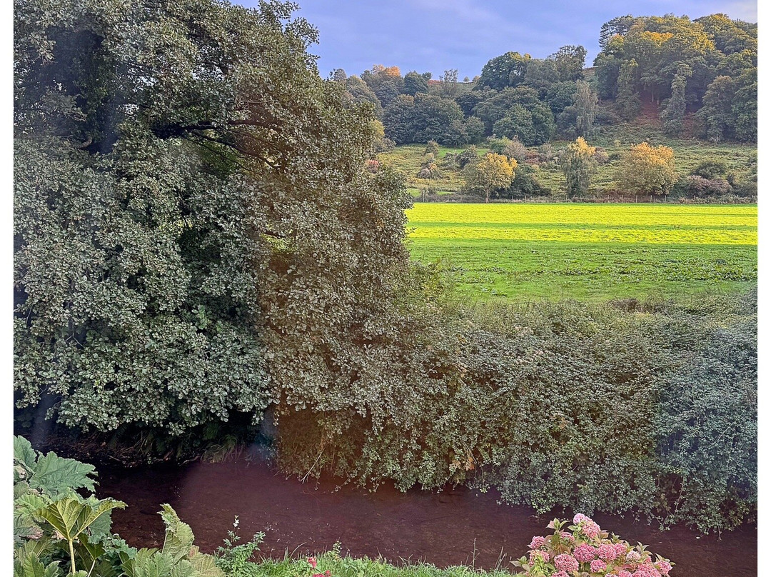 Dunster Mill House主图